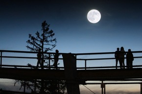 Pressemitteilung: Nachtaktiv im Süden